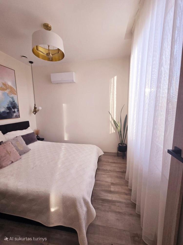 Lazy House Klaipeda公寓 外观 照片