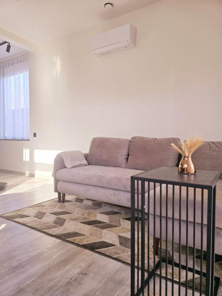 Lazy House Klaipeda公寓 外观 照片